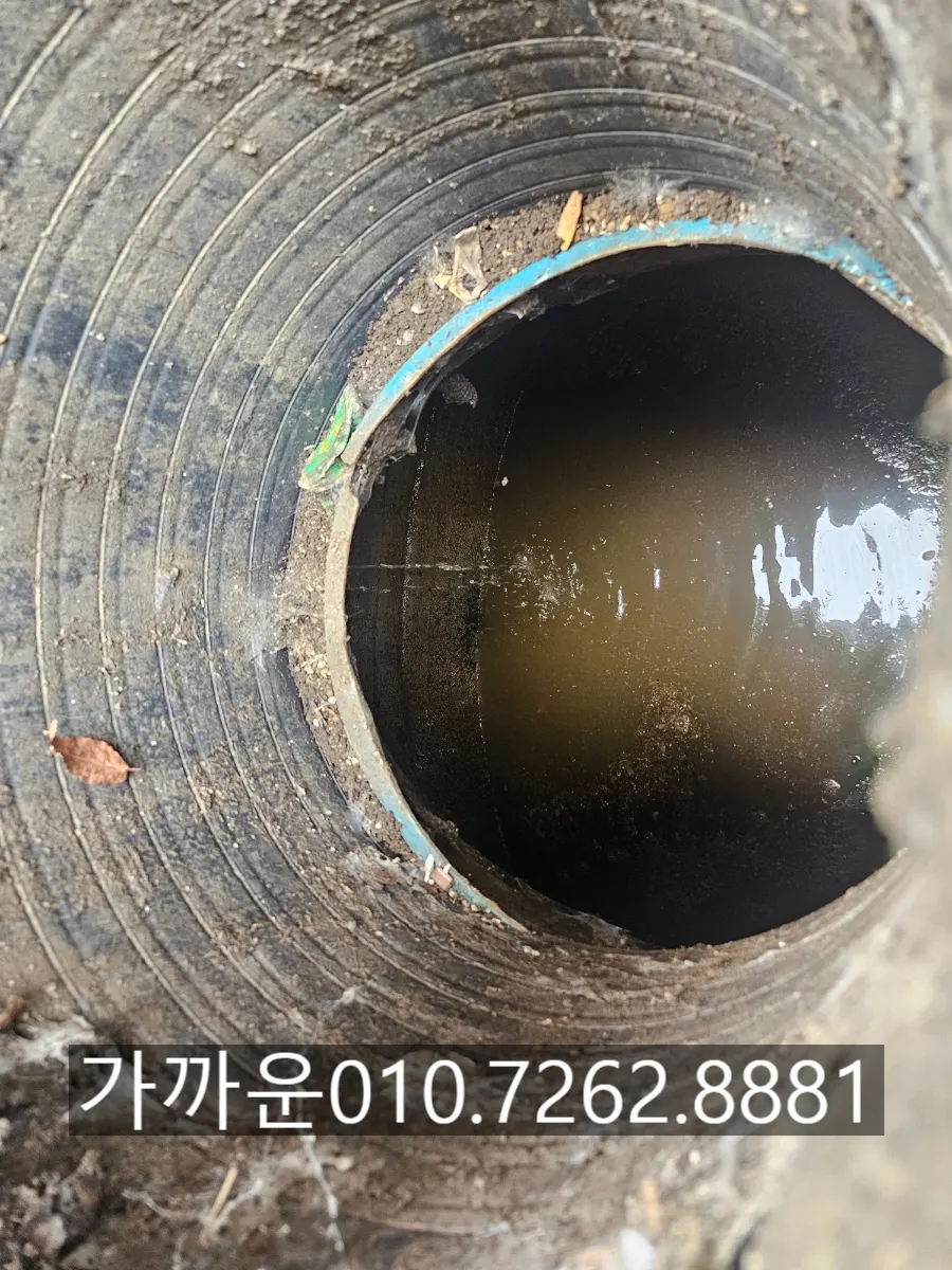 사당2동 변기 역류 조짐 | 꿀렁이고 물이 줄었다 늘었다 — 난리 나기 전에 잡았습니다